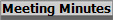 Meeting Minutes